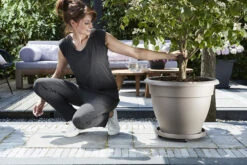 Plantentaxi Elho Universeel 35cm - Antraciet -Groen Verkoop universele planttaxi 35cm schotel antraciet 6 11