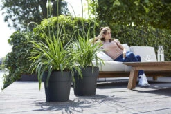 Bloempot Elho Vibia Straight Rond 47cm - Antraciet -Groen Verkoop vibia straight rond 47cm bloempot antraciet 7 11