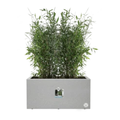 Elho Vivo Next Lang Wielen 60cm - Warm Grijs 13 Elho Vivo Next Lang Wielen 60cm - Warm Grijs -Groen Verkoop vivo next lang wielen 60cm warm grijs 5 1