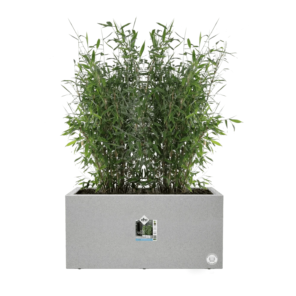 Elho Vivo Next Lang Wielen 60cm - Warm Grijs 7 Elho Vivo Next Lang Wielen 60cm - Warm Grijs - Afbeelding 5