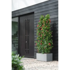 Elho Vivo Next Lang Wielen 60cm - Warm Grijs 14 Elho Vivo Next Lang Wielen 60cm - Warm Grijs -Groen Verkoop vivo next lang wielen 60cm warm grijs 6 1