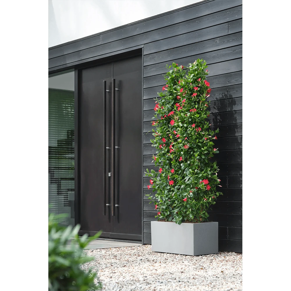 Elho Vivo Next Lang Wielen 60cm - Warm Grijs 8 Elho Vivo Next Lang Wielen 60cm - Warm Grijs - Afbeelding 6