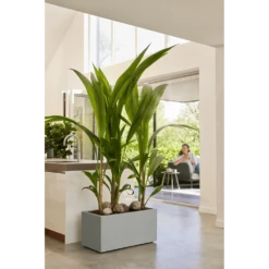 Elho Vivo Next Lang Wielen 60cm - Warm Grijs 15 Elho Vivo Next Lang Wielen 60cm - Warm Grijs -Groen Verkoop vivo next lang wielen 60cm warm grijs 7 1