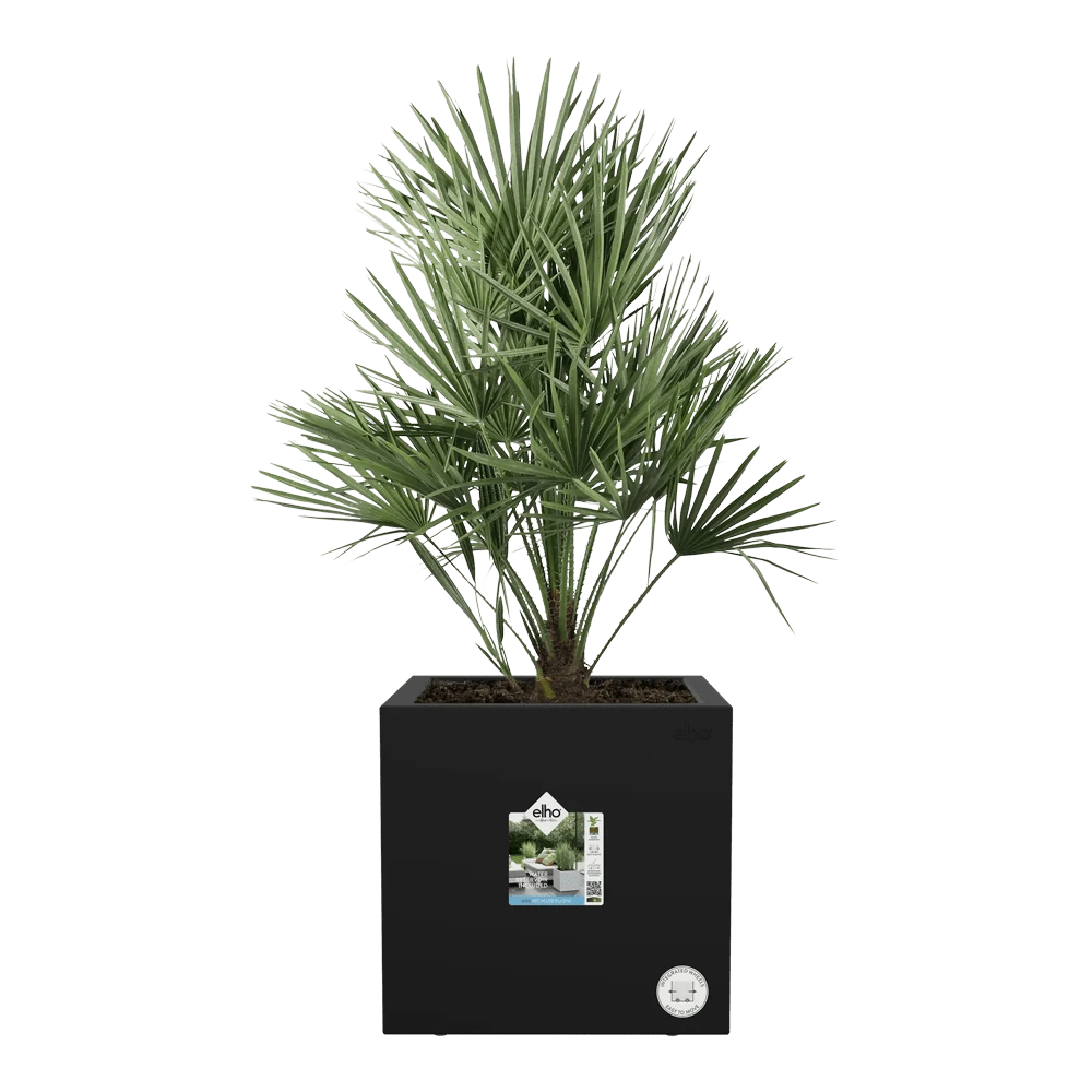 Elho Vivo Next Vierkant Wielen 40cm - Living Black 6 Elho Vivo Next Vierkant Wielen 40cm - Living Black - Afbeelding 4